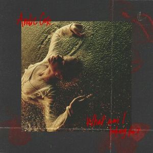 What Am I Looking For? (Single)