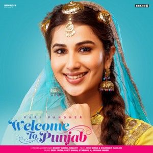 Welcome To Punjab (Single)