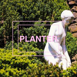 PLANTER (Single)