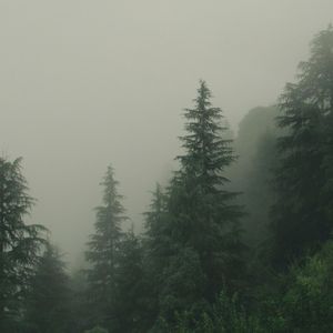 Still Need You (Single)