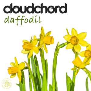 Daffodil (Single)