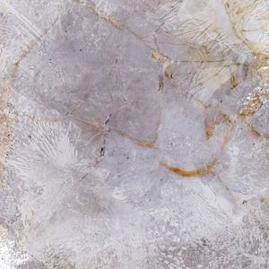 Segment of a Circle (EP)