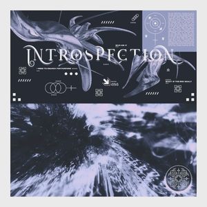 Introspection (Single)