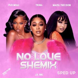 No Love Shemix (sped up) (Single)