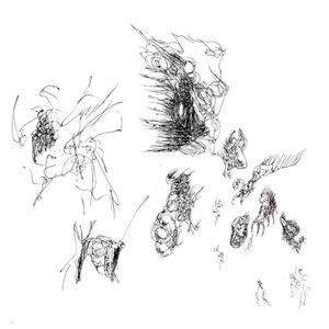 25_01_06 (EP)