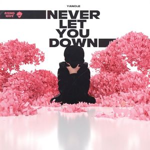 Never Let You Down (Single)