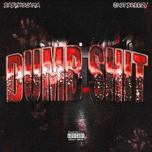 Dumb Shit (Single)