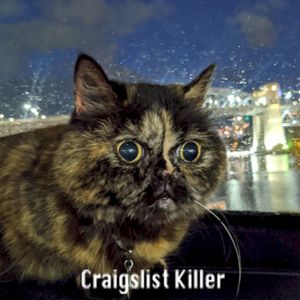 Craigslist Killer (Single)