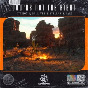 You're Not the Right (Single)