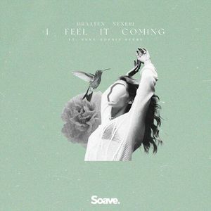 I Feel It Coming (Single)