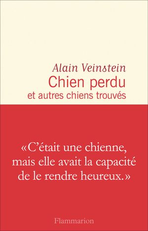 Chien perdu