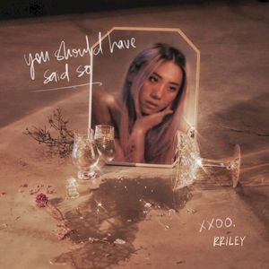 you should have said so (Single)