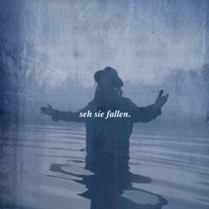 seh sie fallen. (Single)