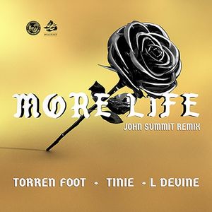 More Life (John Summit remix) (Single)