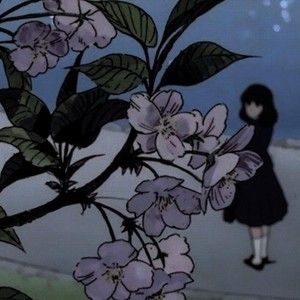 Cherry Blossoms (Single)