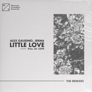 Little Love (Pres. Lil' Love) (The Remixes) (Single)