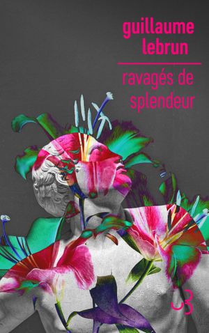 Ravagés de splendeur