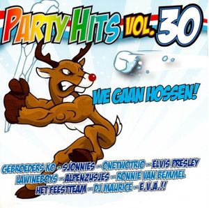 Party Hits, Vol. 30: We gaan hossen!