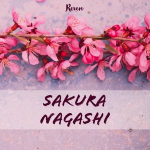 Sakura Nagashi (Single)