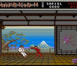 image-https://media.senscritique.com/media/000022575392/0/the_karate_kid_part_ii.jpg