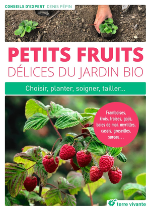 Petits fruits