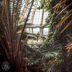 Vibrations (Single)
