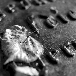 The Greatest Loss (Single) (Single)