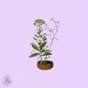 Blossom (Single)