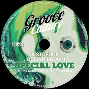 Special Love (Micky More & Andy Tee 7” Jazz Mix) (Single)