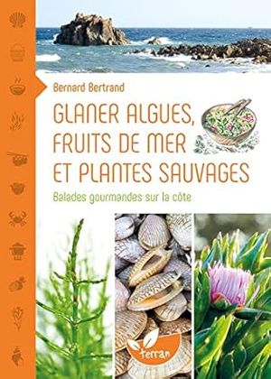 Glaner algues, fruits de mer et plantes sauvages