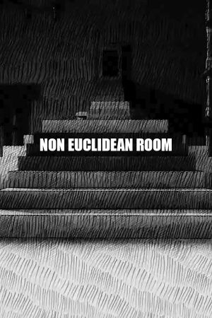 Non Euclidean Room