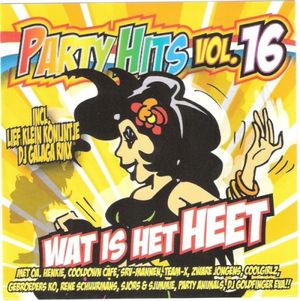 Party Hits, Vol. 16: Wat is het heet