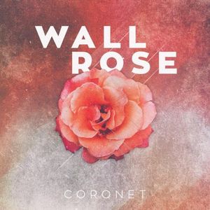 Wall Rose (Single)