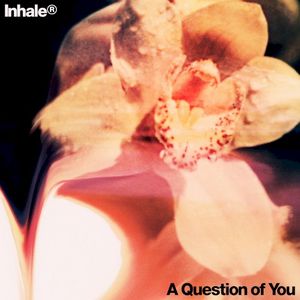 A Question of You (Single)