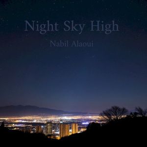 Night Sky High (Single)