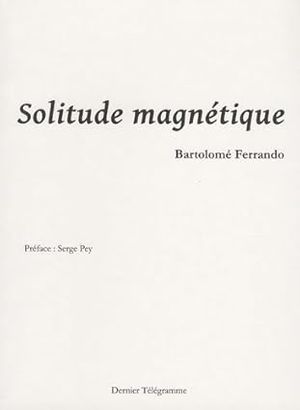 Solitude magnétique