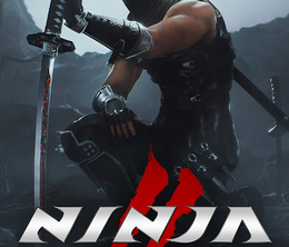 image-https://media.senscritique.com/media/000022587238/0/ninja_gaiden_ii_black.png