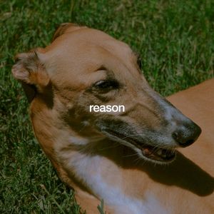 Reason (Single)