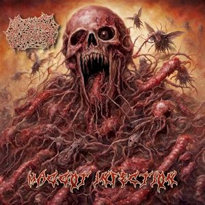 Maggot Infection (Single)