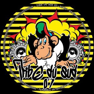 Tribe Du Sud 07 (EP)