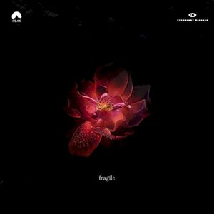 Fragile (Single)