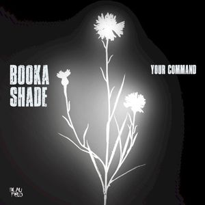 Your Command (Single)