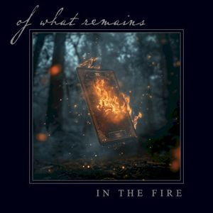 In the Fire (Single)