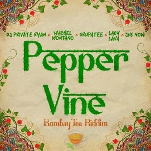 Pepper Vine