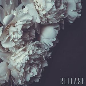 Release (Single)