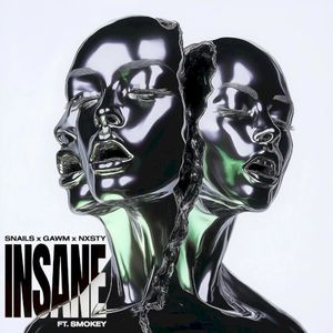 Insane (Single)