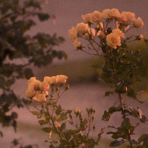 Wasting My Luck (Single)