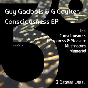 Consciousness (EP)