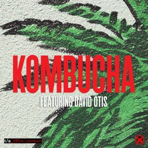 Kombucha (Single)