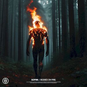 Bodies On Fire (Single)